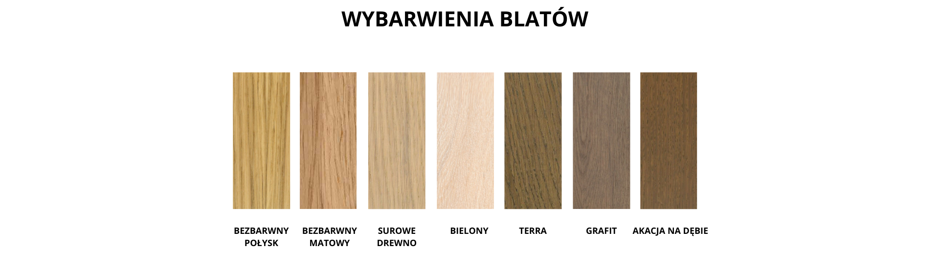 Wybarwienia-Blatow-z-naglowkiem-podciete.png